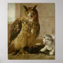 Suche nach gefieder poster Vogel