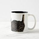 Recherche de position tasses Horizontal