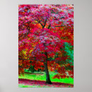 Recherche de érable japonais posters Rouge