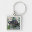 Recherche de racoon porteclés Mignon