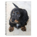 Suche nach dachshund kleine notizbücher Welpe
