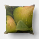 Suche nach ernte kissen Äpfel