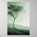 Recherche de stérile posters Ciel