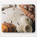 Recherche de coquillage tapis souris Corail