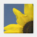 Recherche de coin magnets Botanique