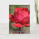 Recherche de rouge rose photographie Jardin