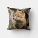 Recherche de renard photographie Animaux mignons
