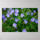 Suche nach beautiful nature poster Schön