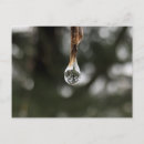 Recherche de gouttelette cartes postales Arbre