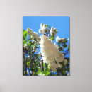 Suche nach lila baum leinwandbilder Blume