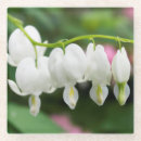 Recherche de original dessous de verres Vert