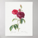 Suche nach vintage lila poster Floral