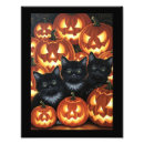 Suche nach kleine schwarze katze poster Niedliche katzen