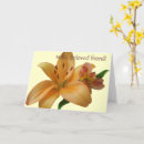 Suche nach all occasion postkarten Orange