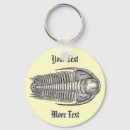 Recherche de fossiles porteclés Trilobite