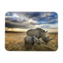 Suche nach kalb magnete Niedlich