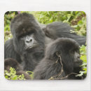 Suche nach vulkane mousepads Mary ann mcdonald