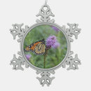 Recherche de papillon de monarque ornements Papillons