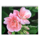 Suche nach frühling kalender Tulpen