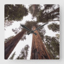 Recherche de foret horloges Beau