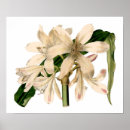 Recherche de pour toute occasion posters Élégant