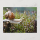Recherche de abandon cartes postales Citation