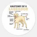 Suche nach anatomie aufkleber Hundebesitzer