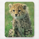 Suche nach fell mousepads Wilde tiere