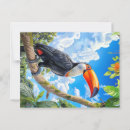 Recherche de toucans cartes postales Amérique du sud