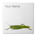 Suche nach insekt fliesen Grasshopper