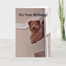 Suche nach aufgeregt karten Spaß