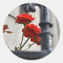 Suche nach fotografie aufkleber Rose