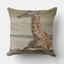 Suche nach baby giraffe kissen Natur