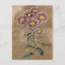 Suche nach aster blume postkarten Vintag