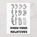 Recherche de evolution cartes postales Darwin