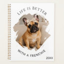 Recherche de de bouledogue français Amoureux des chiens