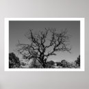 Suche nach toter baum poster Park