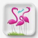 Suche nach florida teller Flamingos
