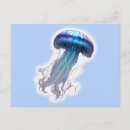 Suche nach jellyfish postkarten Meer