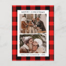 Suche nach büffel foto postkarten Weihnachtskarte für foto