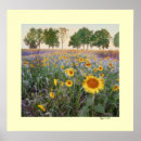 Recherche de brouillard posters Campagne