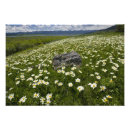 Recherche de prairies posters Parc national