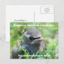 Recherche de humoriste cartes postales Nature