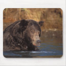 Suche nach braunbär mousepads Nationalpark