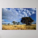 Suche nach der kalahari poster Horizontal