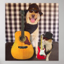 Suche nach lustige produkte poster Kätzchen