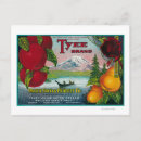 Recherche de taux cartes postales Lanterne