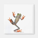 Recherche de de grenouille refrigérateur magnets Froid blooded
