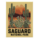 Recherche de cactus posters Saguaro