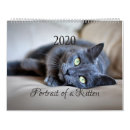 Suche nach porträts kalender Kätzchen
